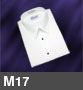M17 product image