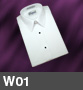 W01 product image